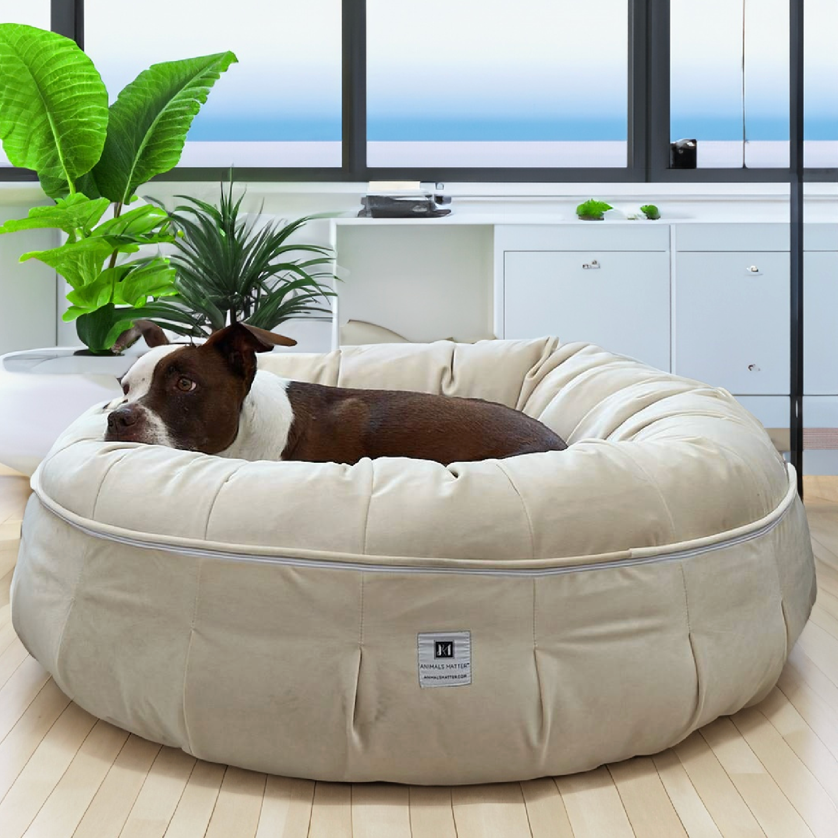 A picture of Ruby enjoying her new Ali Jewel® Ortho Puff™ Companion-Pedic® Luxury Round Dog Bed - Animals Matter, Inc.