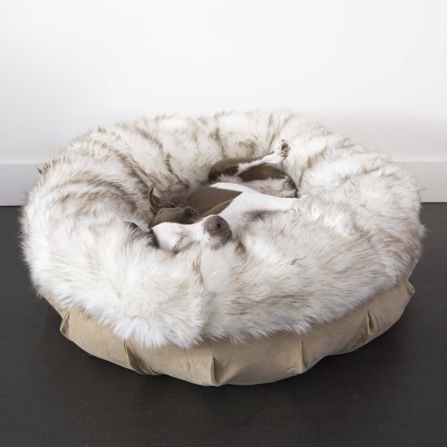 Are Orthopedic Beds Good for Dogs: Ultimate Comfort & Health Benefits