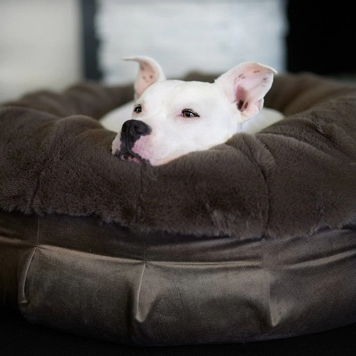 Best calming dog beds Keep your canine cozy and secure