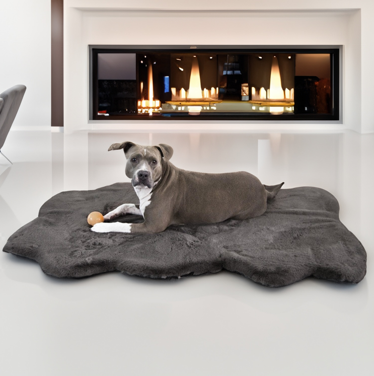 Raine enjoying the luxurious Animals Matter Ruby Puff Luxury Orthopedic Dog Bed Rug.