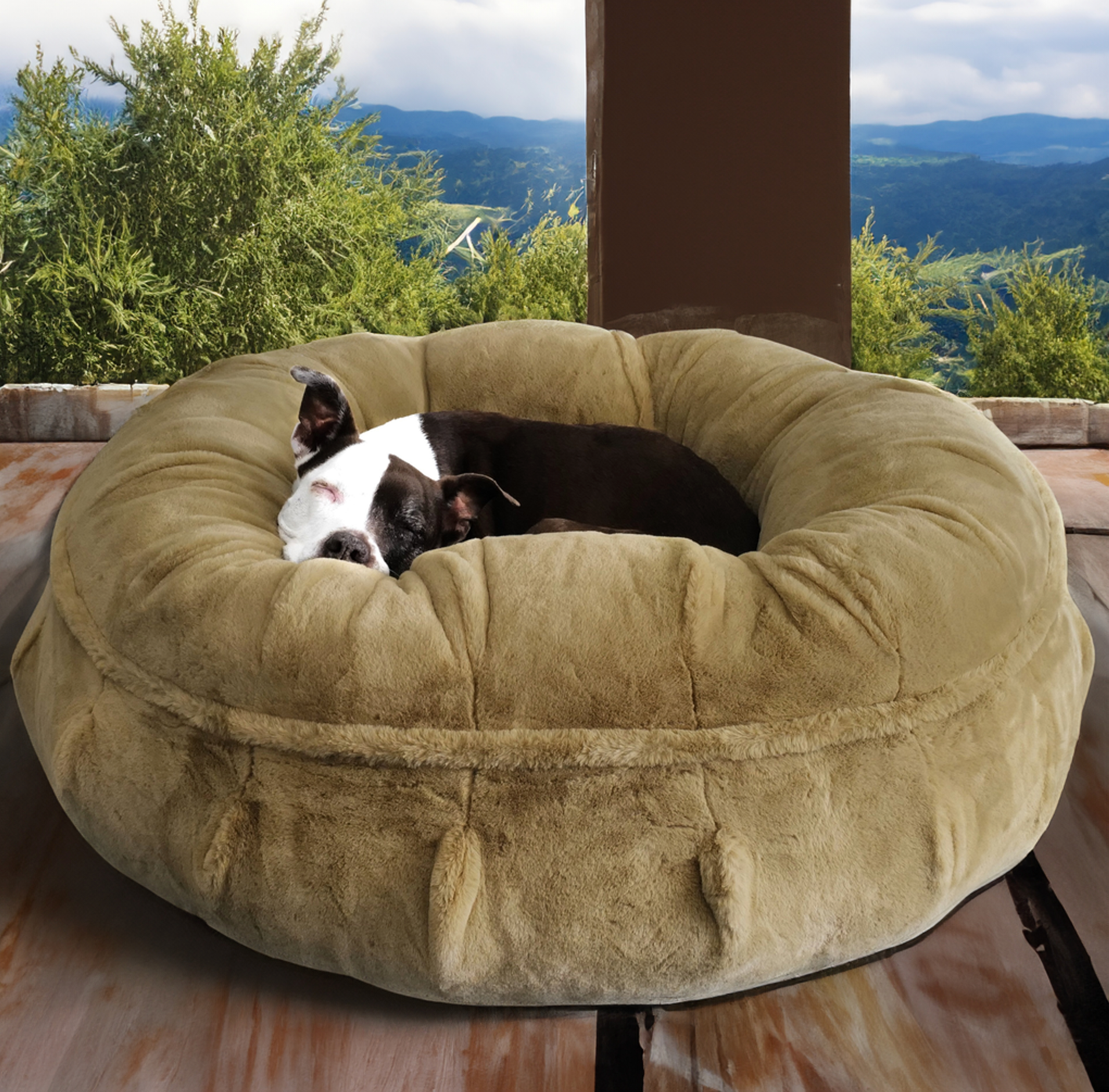 Ruby Relaxing in the Animals Matter Raine Puff Ortho Companion-Pedic Luxury Dog Bed