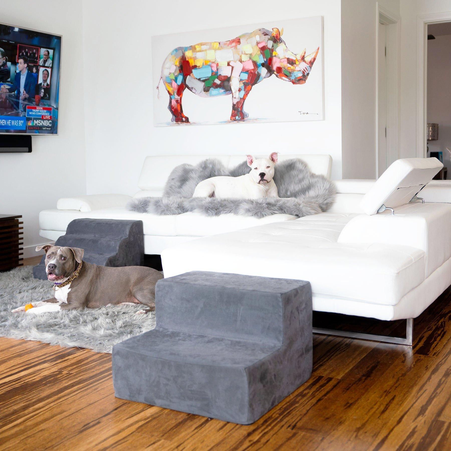 Best Dog Steps for High Beds: What You Need to Know