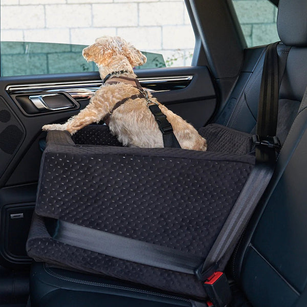 2 seater dog car seat clearance