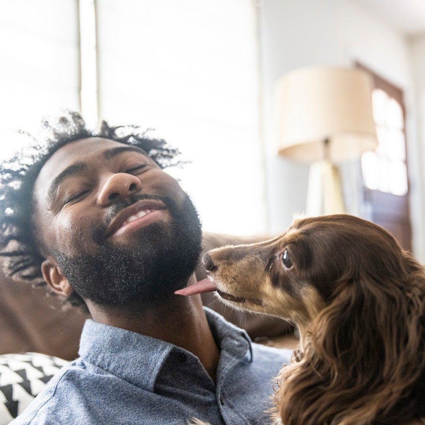 Dog Science Series: The Science Behind the Human-Canine Bond - Animals Matter, Inc.