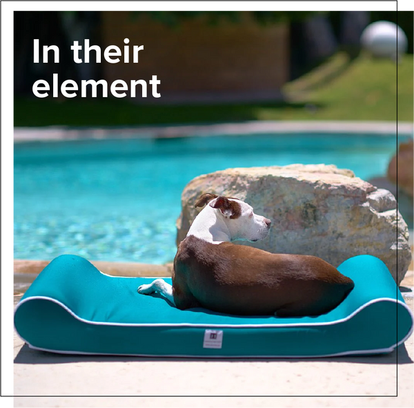 Let Your Pup Lounge in Style: Our Top Picks for the Best Outdoor Dog B