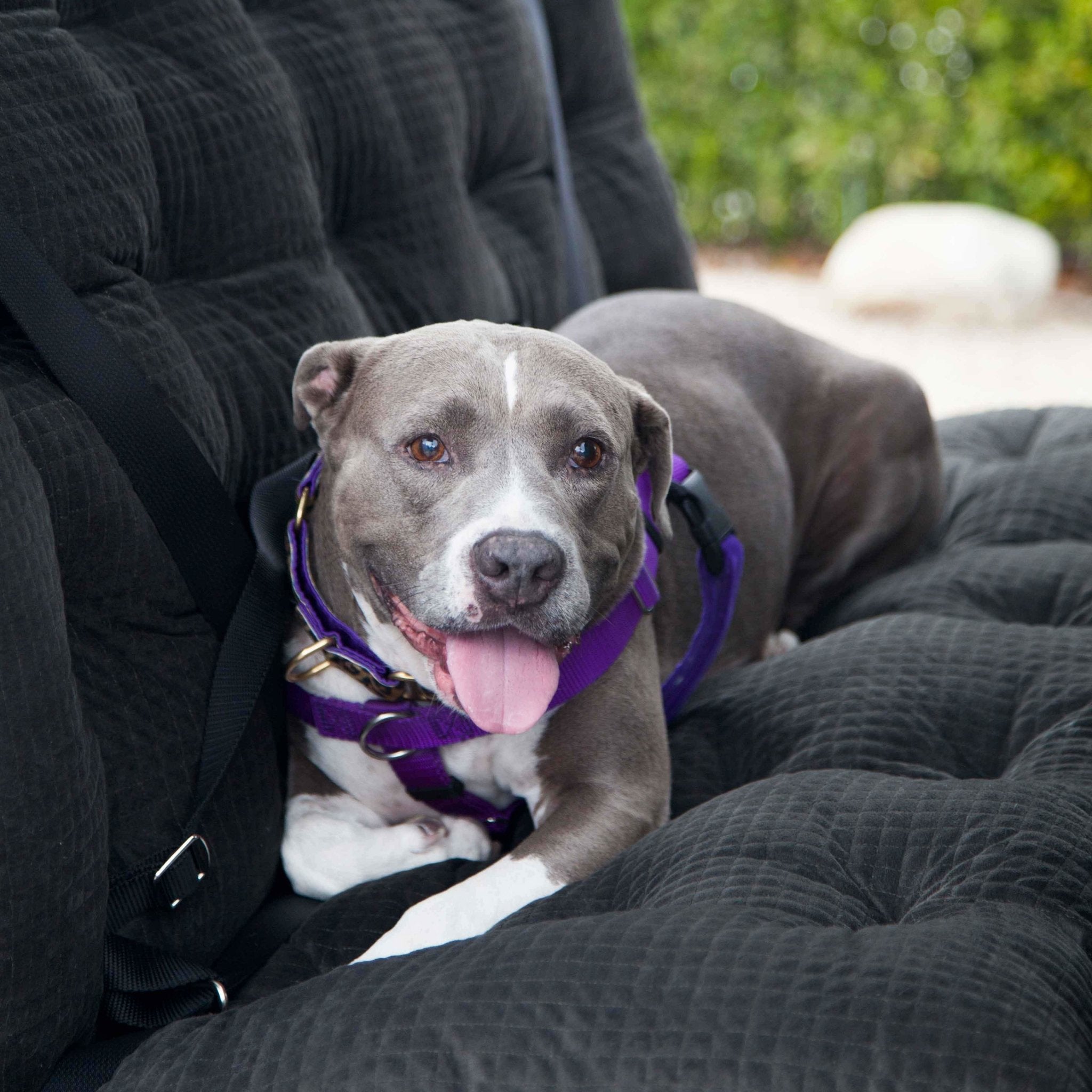 A picture of Raine in her car seat cover