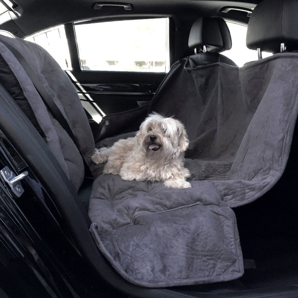 Tips for Car Travel With Dogs: Essential Hacks for Safe Trips
