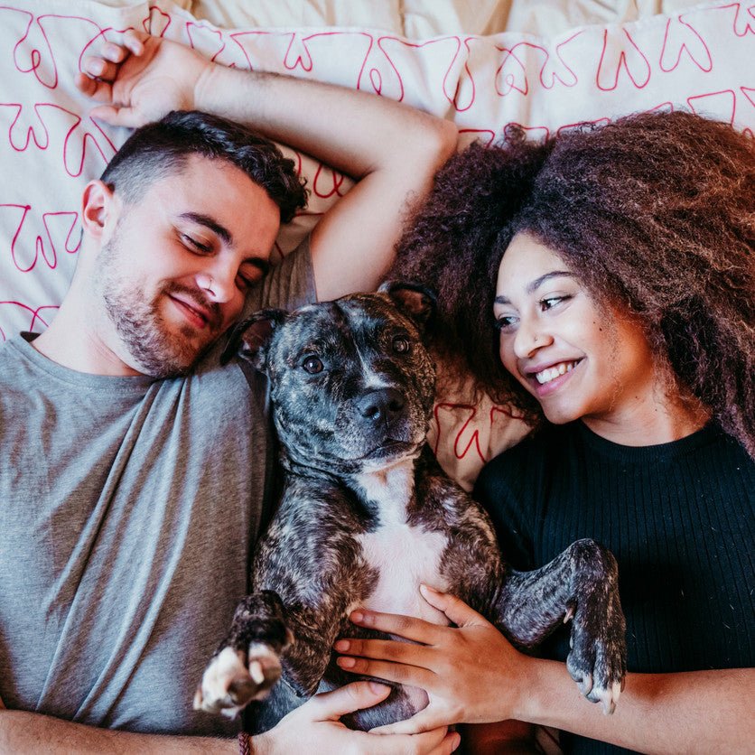 Why Does My Dog Seem to Like My Partner More Than Me?