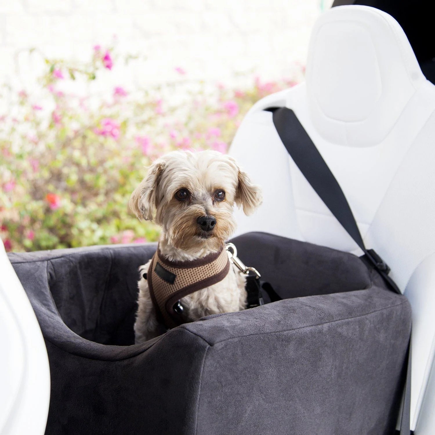 Dog Car Seat Boosters for Small Large Pets cushion cushion