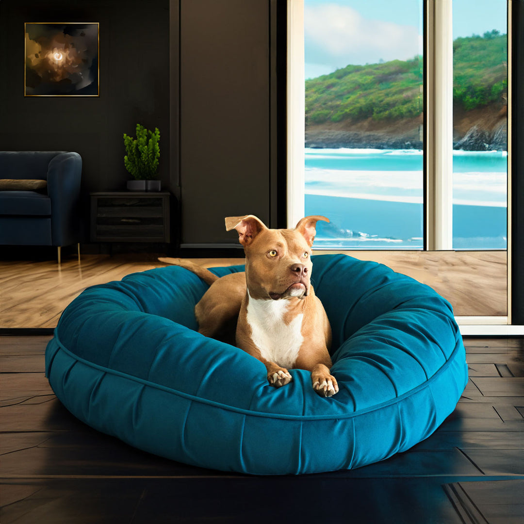 Animals Matter New Ali Donut Luxury Dog Bed in Turquoise