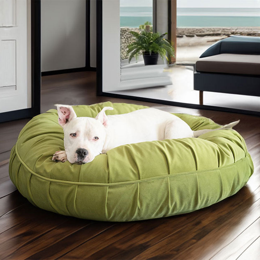 Animals Matter New Ali Donut Luxury Dog Bed in Celery