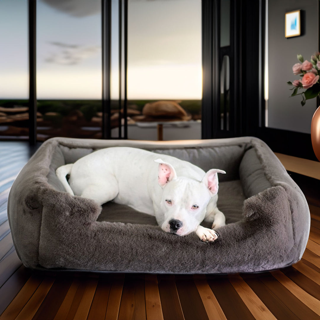 White dog lying on THE NEW: Ruby Puff® Ortho Lounger Companion-Pedic® Luxury Dog Bed in a modern room with large windows