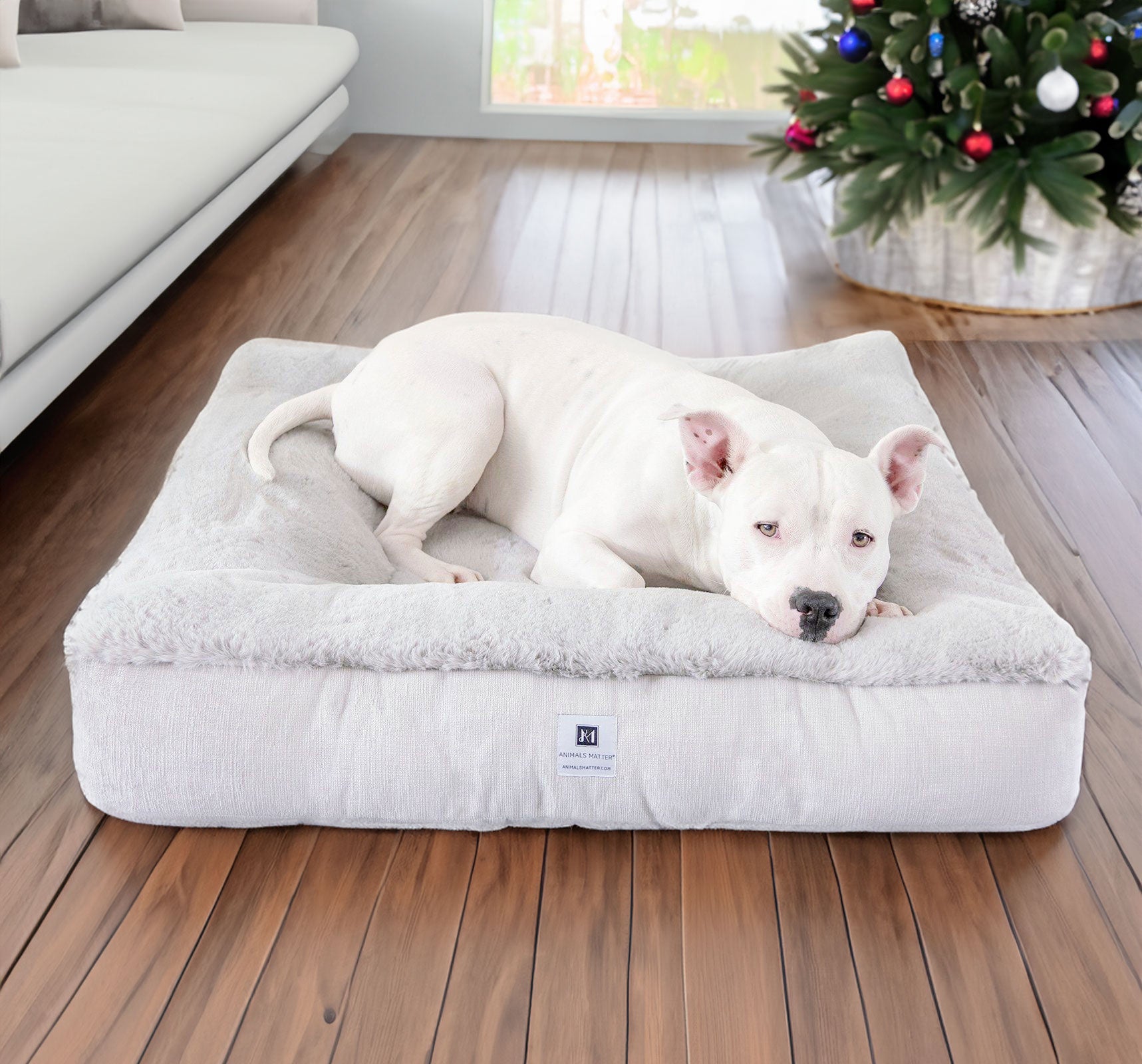 Foam orders for dog bed