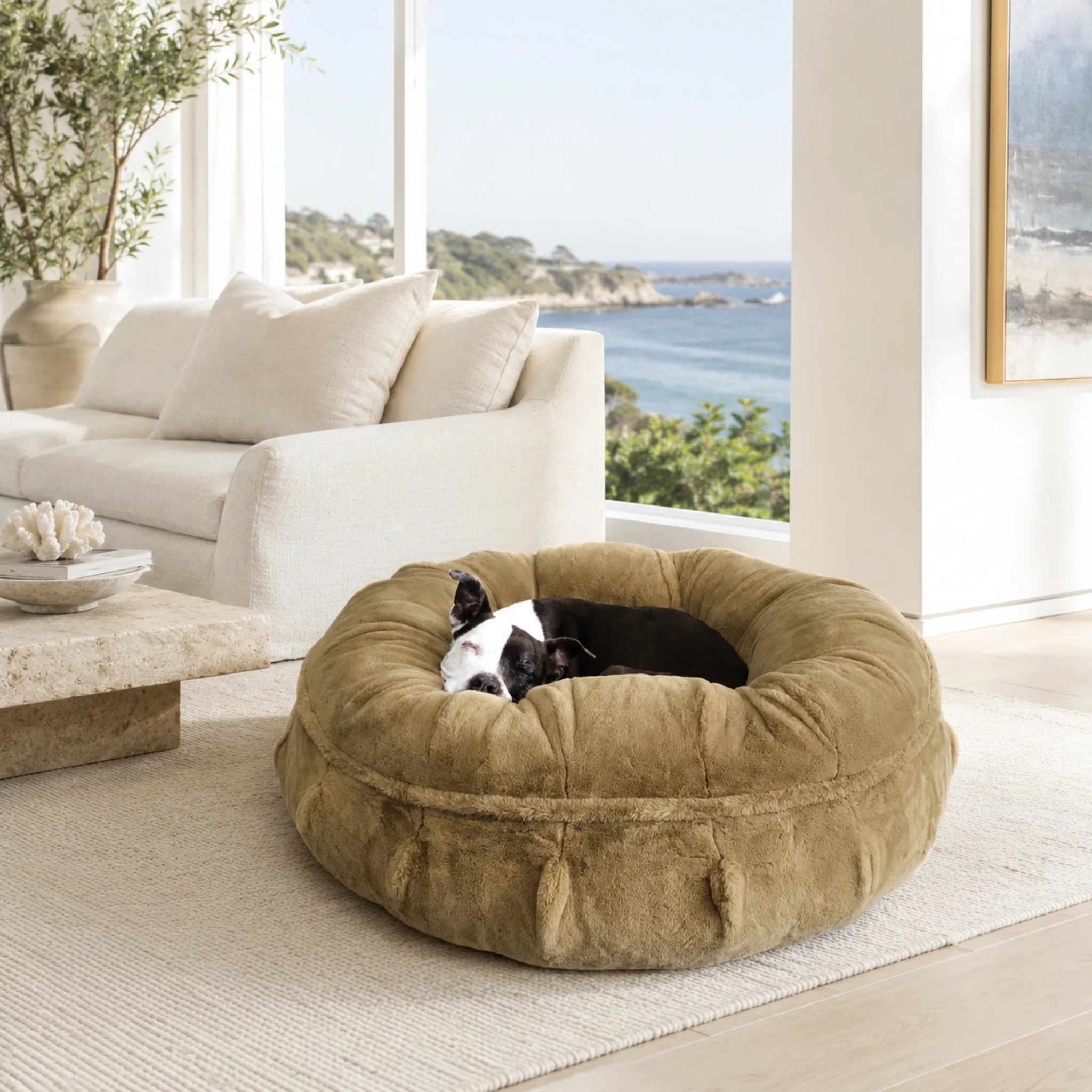 Raine Ortho Puff® Orthopedic Dog Bed | Animals Matter