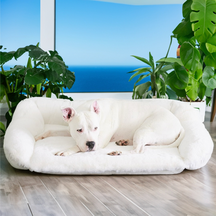 Ruby Puff® Ortho Companion-Pedic® Luxury Dog Bed - Animals Matter, Inc.