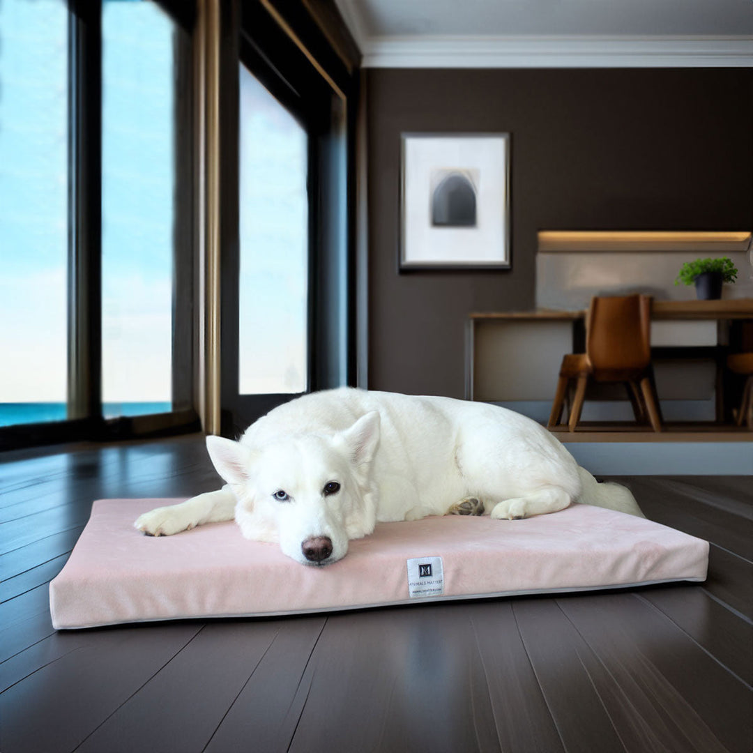 A picture of Hela resting on the Ali Jewel® Waterproof Companion-Pedic® Latex Crate Pad in Ice Pink 