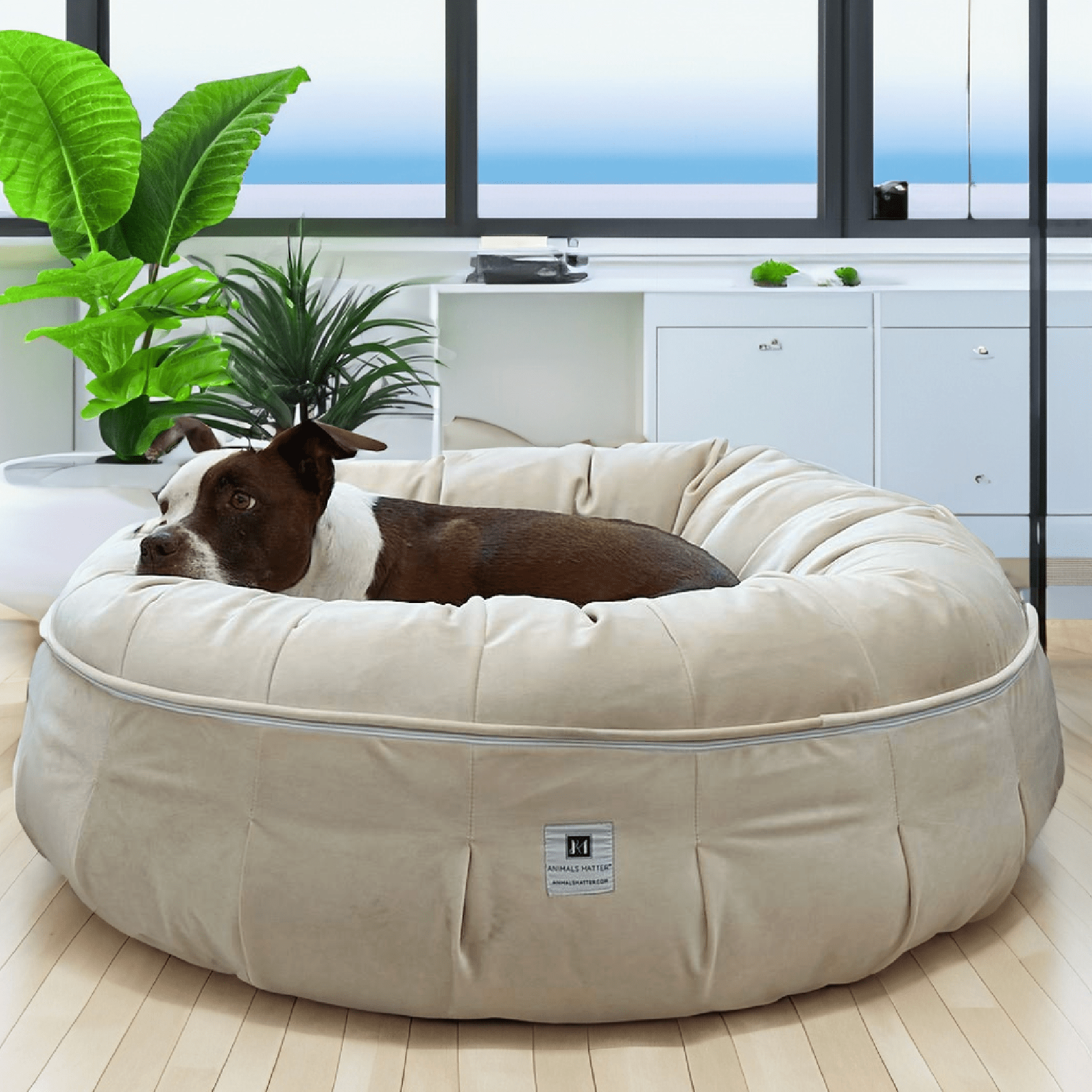 Find the Perfect Dog Bed Round: Top Picks for Your Companion's Comfort! - Animals Matter, Inc.