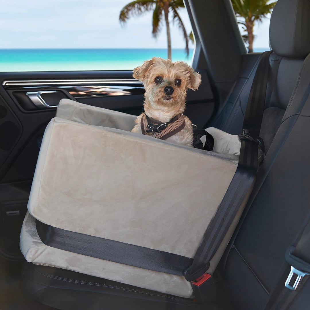 Small dog riding in the Animals Matter Companion Car Seat inside a luxury vehicle interior