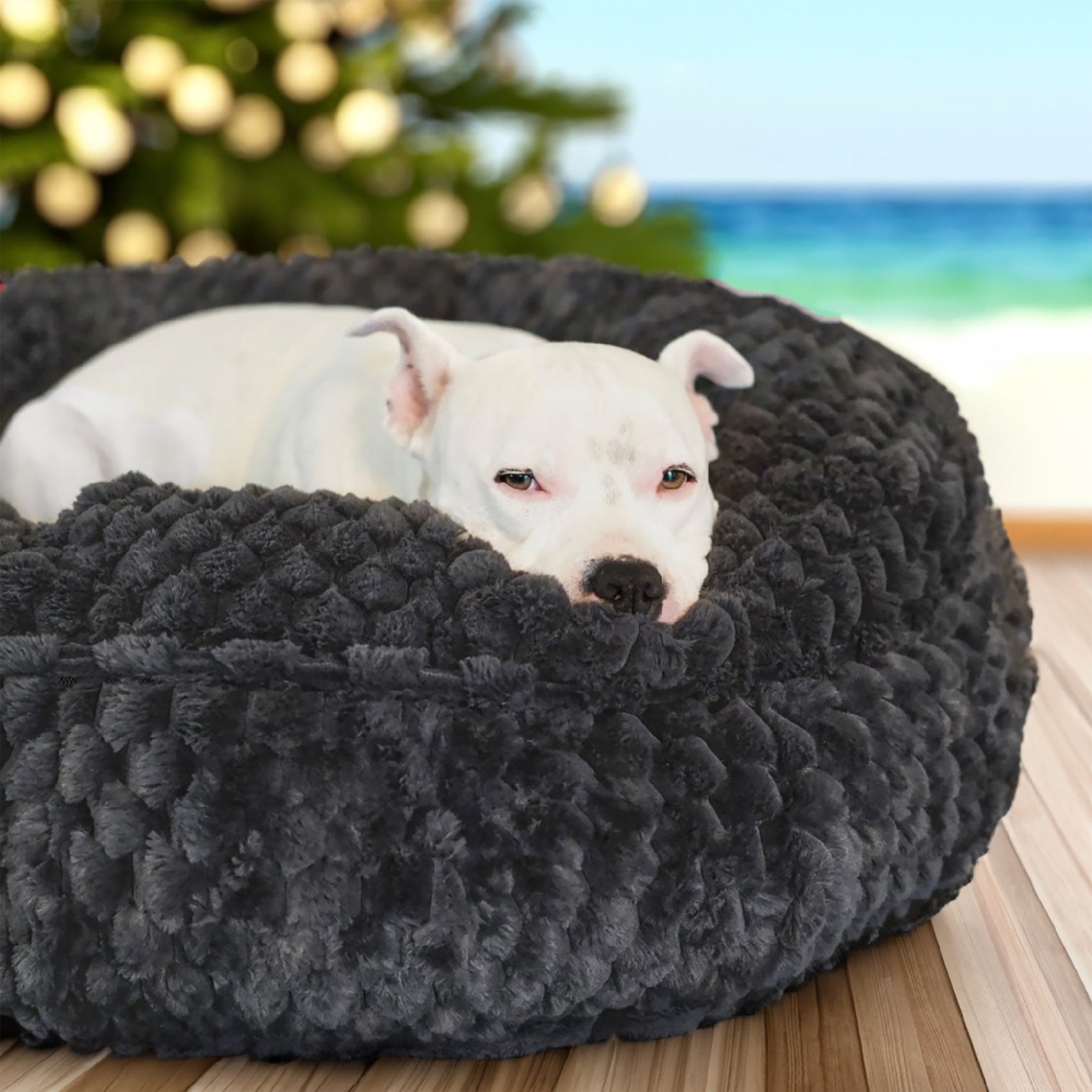 Hudson relaxing in his new Katie Puff Encore Christmas Dog Bed from Animals Matter.