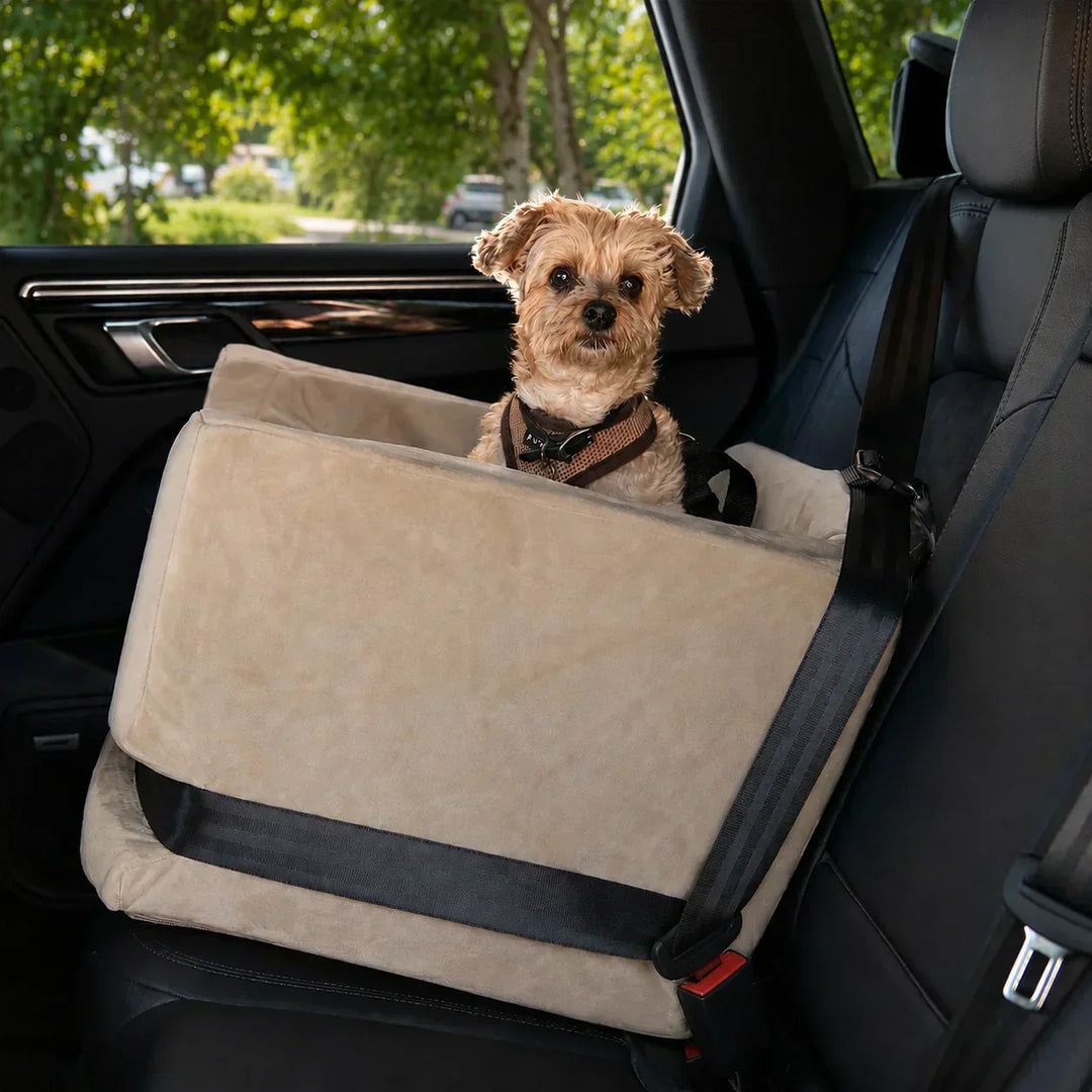 A small dog riding in the animals Matter Companion Dog Car Seat,. 