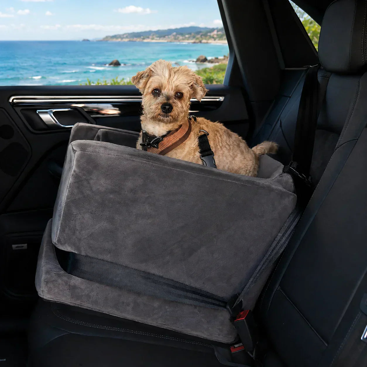 Dog car seat and a dog riding in the back seat of the car