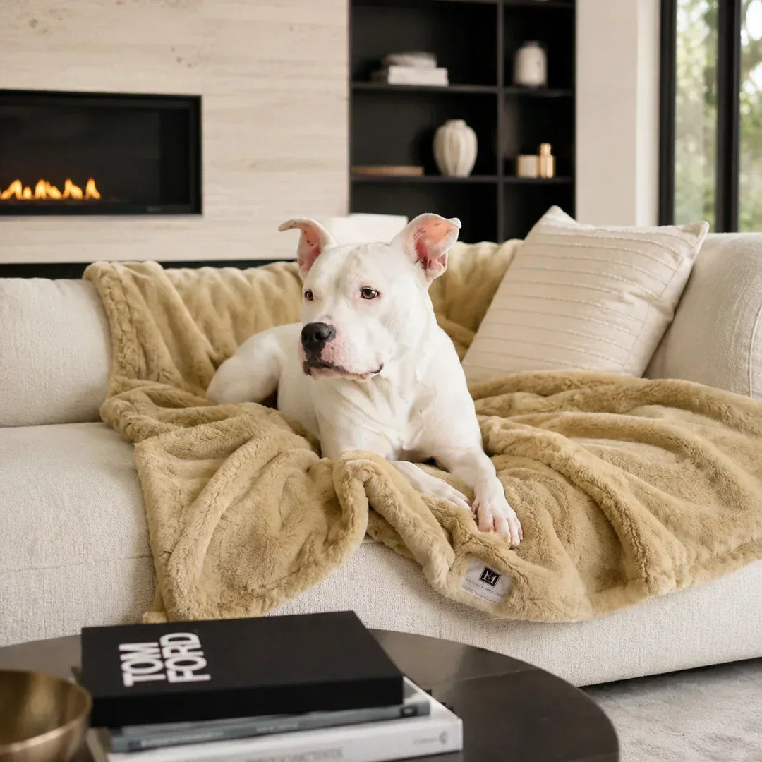 Best Waterproof Dog Blankets: A Luxury Buying Guide