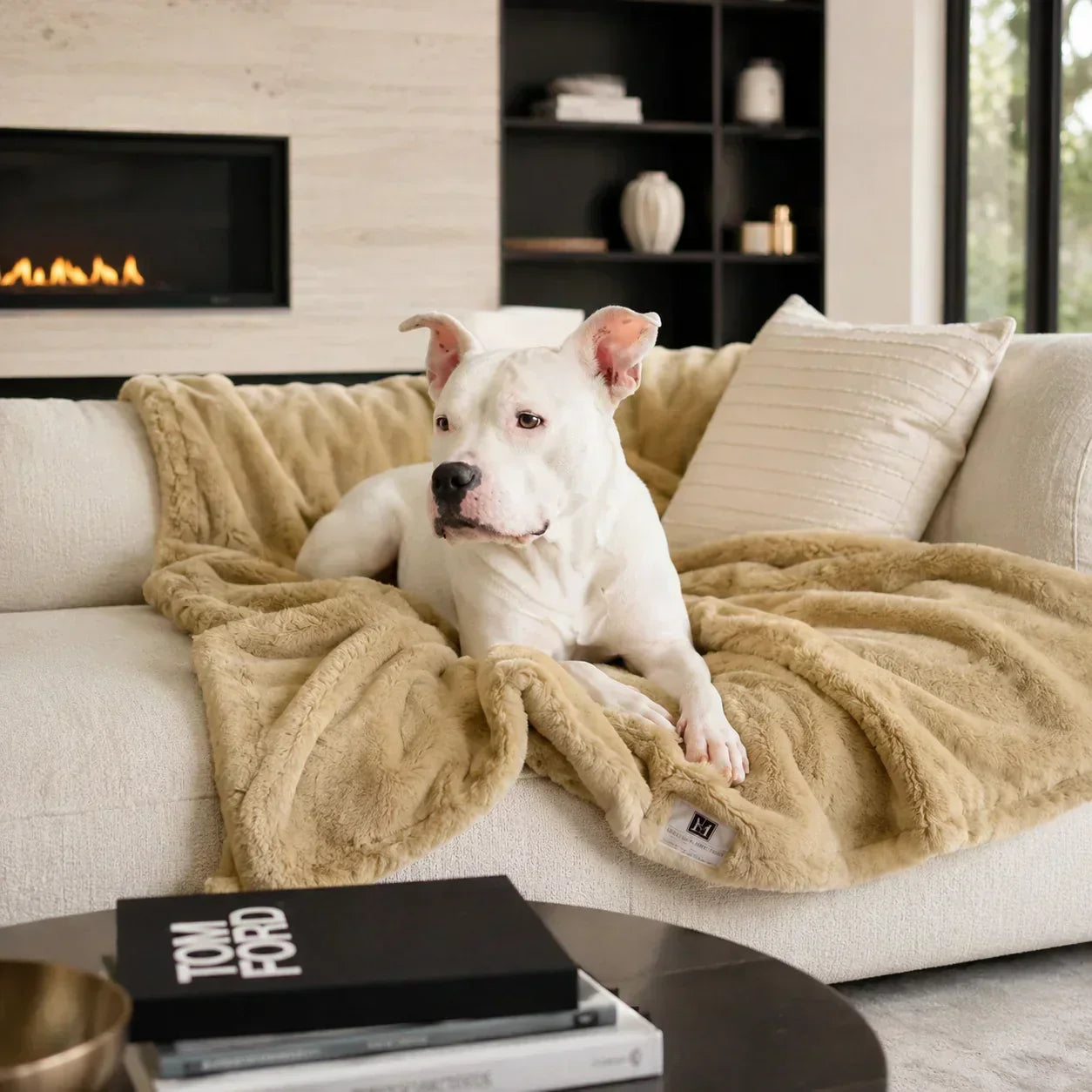 Best Waterproof Dog Blankets: A Luxury Buying Guide