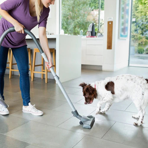 Dog Science Series: Why Are Dogs Afraid of Vacuum Cleaners? - Animals Matter, Inc.