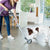 Dog Science Series: Why Are Dogs Afraid of Vacuum Cleaners? - Animals Matter, Inc.