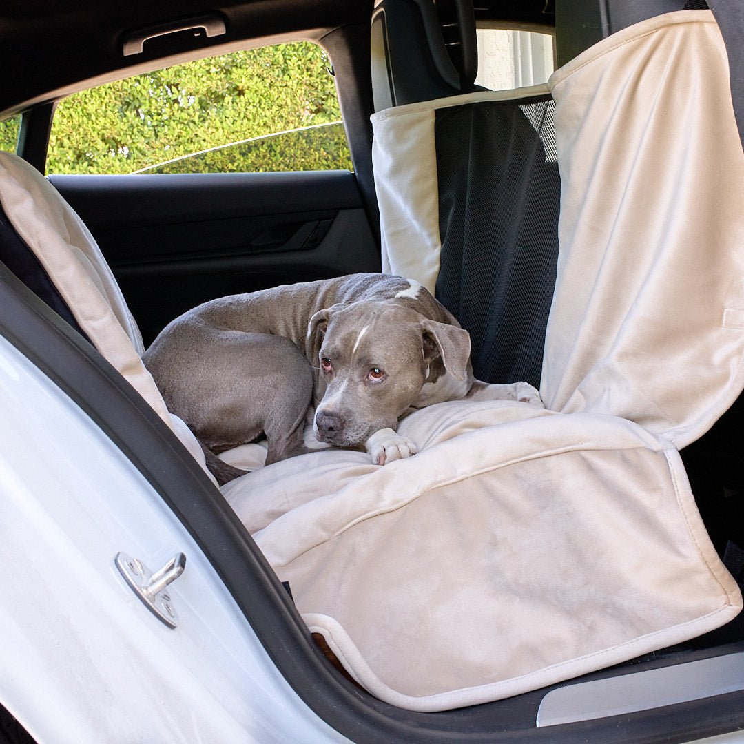 Travel in Style: Animals Matter Luxury Dog Car Seat Covers - Animals Matter, Inc.