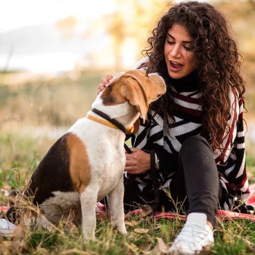 How Well Can A Dog Understand What You're Saying? - Animals Matter, Inc.