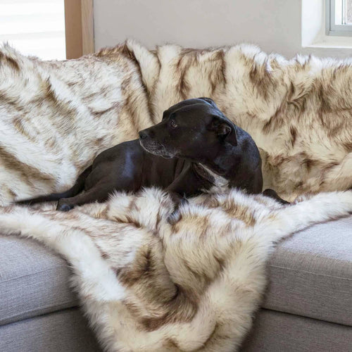 How to Wash Your Faux Fur Dog Bed - Animals Matter, Inc.