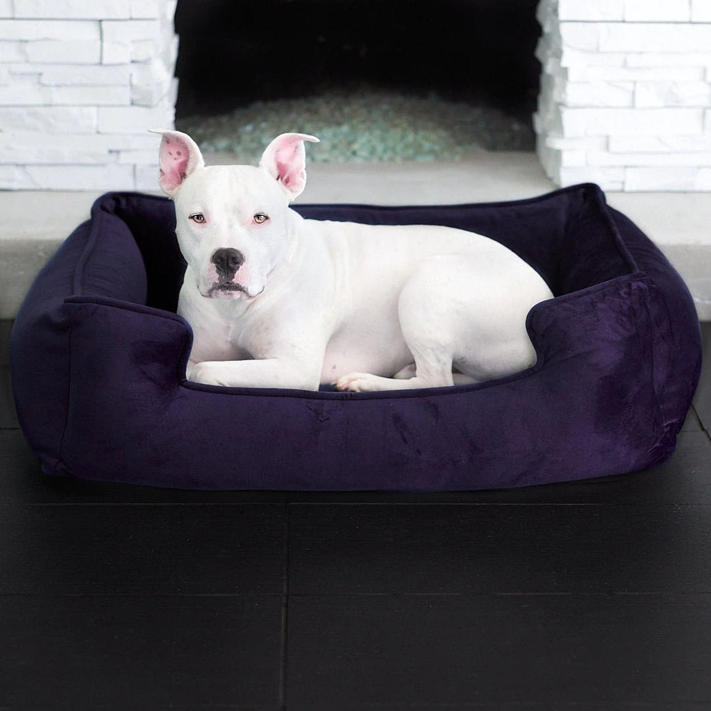 Harmony lounger dog bed clearance