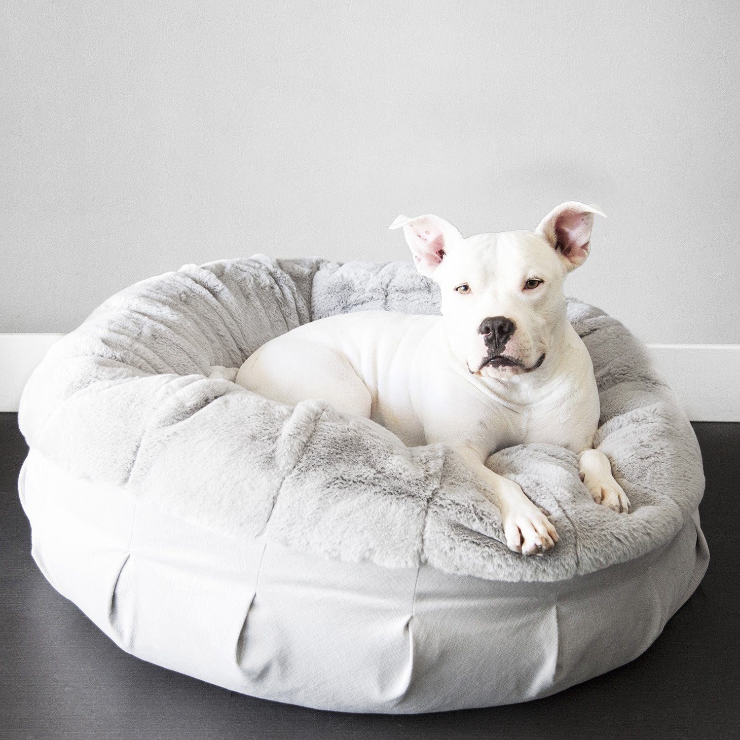 Hudson in his luxurious dog bed by animals matter.