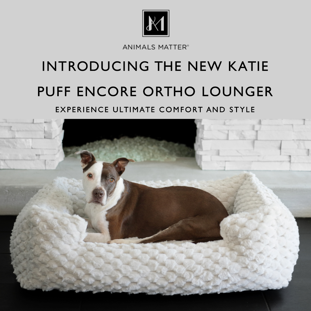 Introducing the New Katie Puff Encore Ortho Lounger Luxury Dog Bed by Animals Matter.