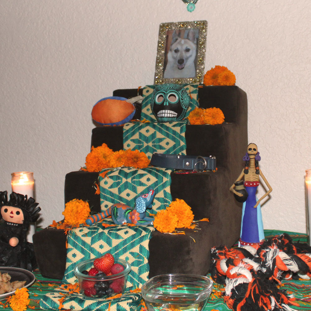 A picture of an Ofrenda dedicated to Kita 