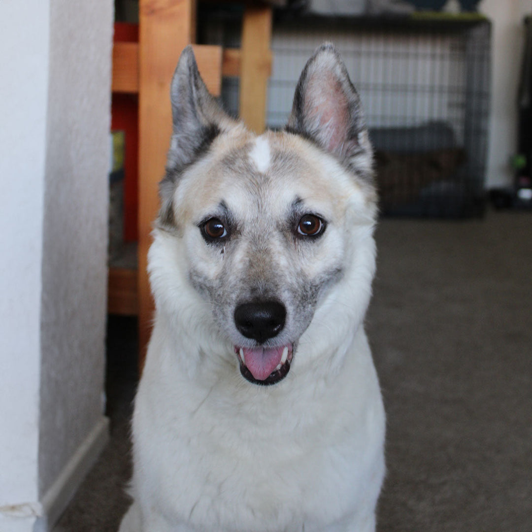 A portrait picture of Kita 