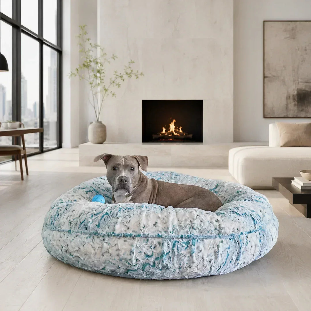 Cheap Dog Beds vs. Luxury Dog Beds: The Real Cost of a $50 "Disposable" Dog Bed - Animals Matter, Inc.