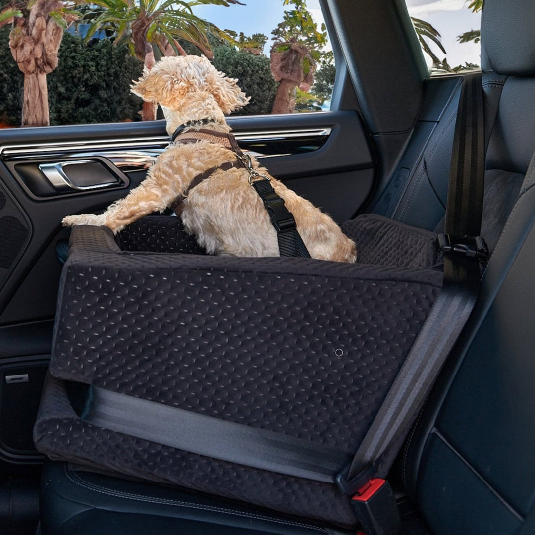 Luxury Dog Car Seat: Ultimate Comfort and Safety for Your Pet - Animals Matter, Inc.