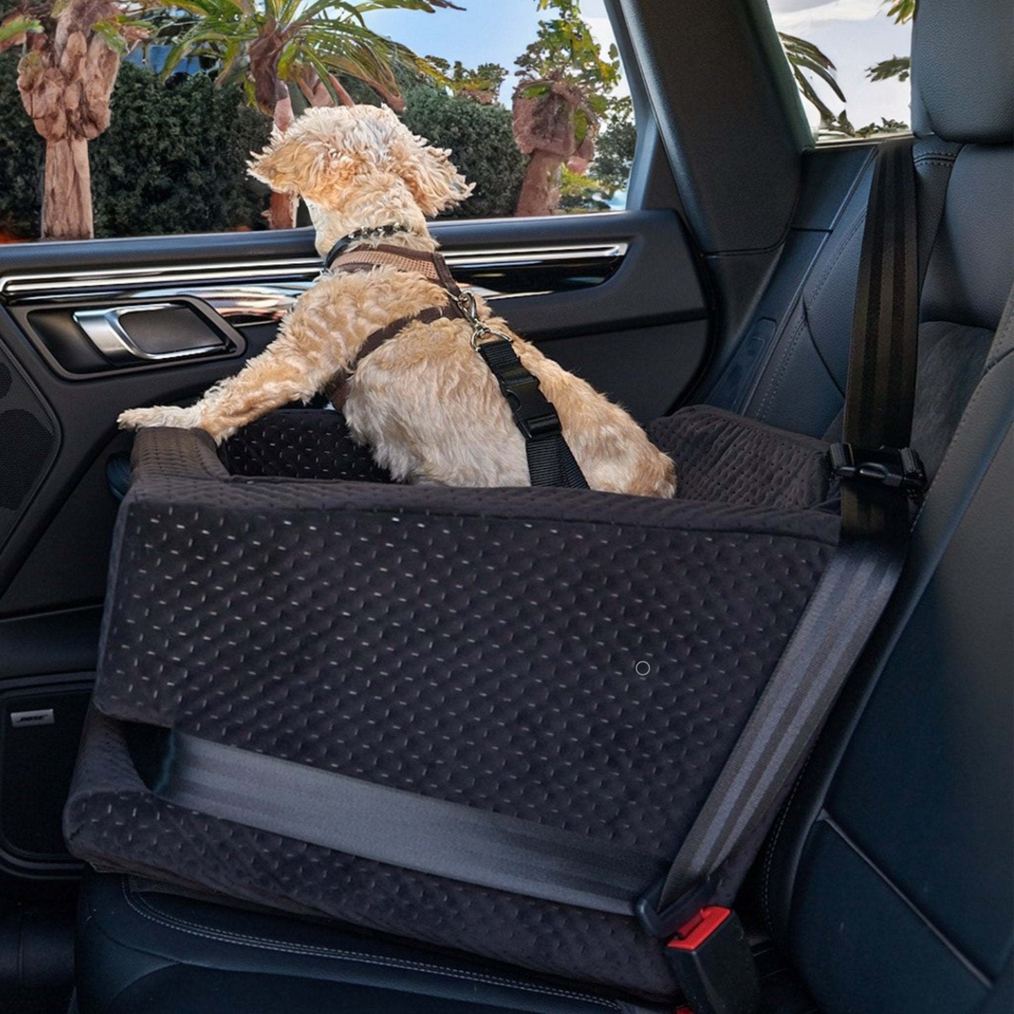 Luxury Dog Car Seat: Ultimate Comfort and Safety for Your Pet - Animals Matter, Inc.