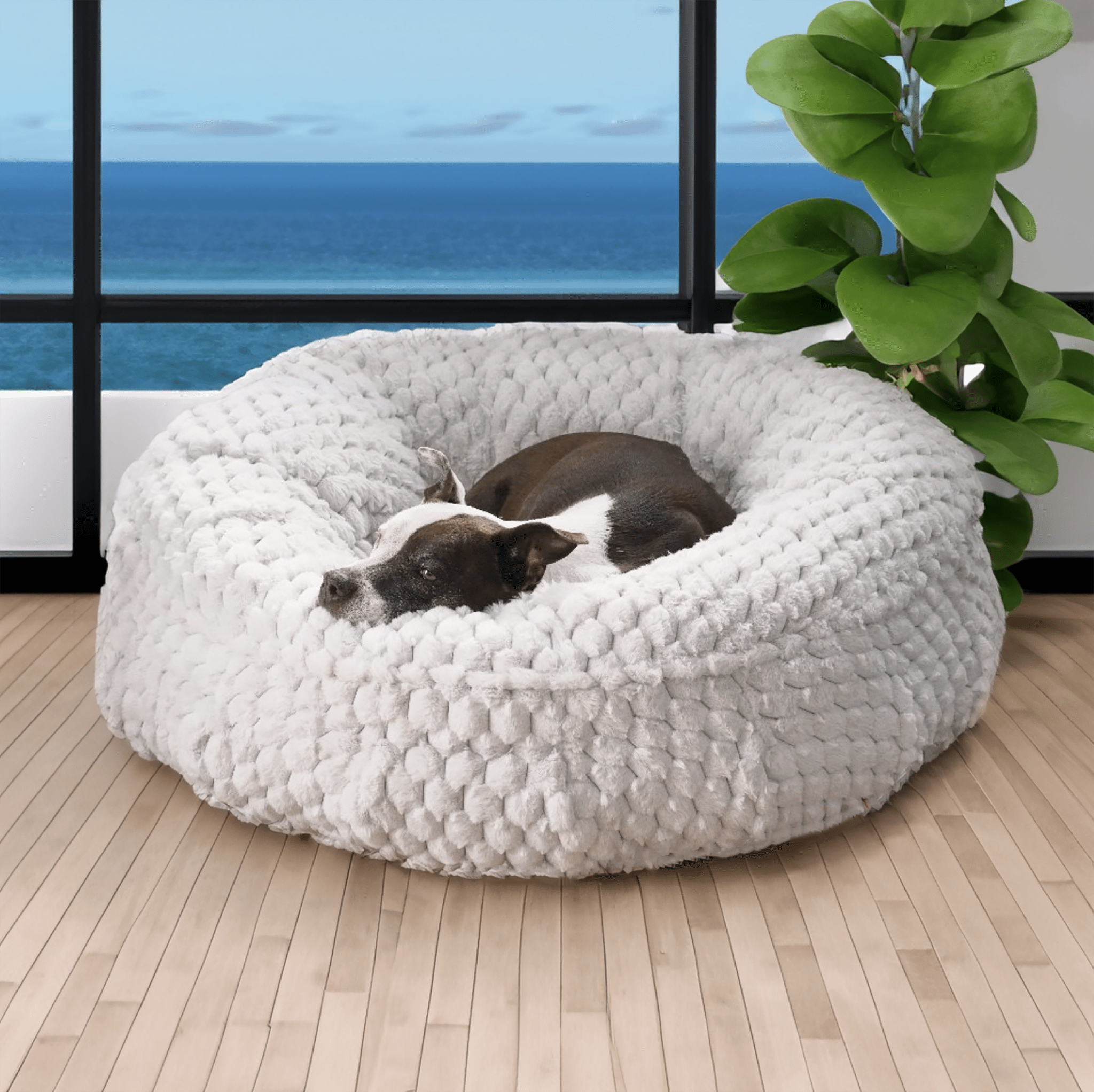 Discover the Best Dog Beds with Memory Foam for a Comfy Canine Sleep - Animals Matter, Inc.