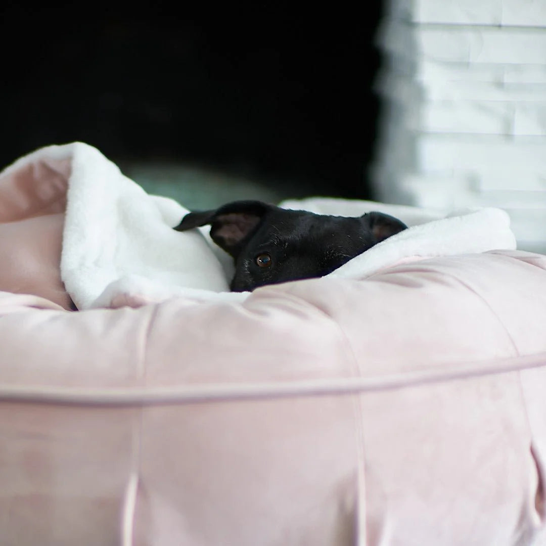 Pearl laying in the Ali Jewel Animals Matter Anti-Anxiety Dog Bed and has an Ali Jewel Dog Blanket surrounding her.