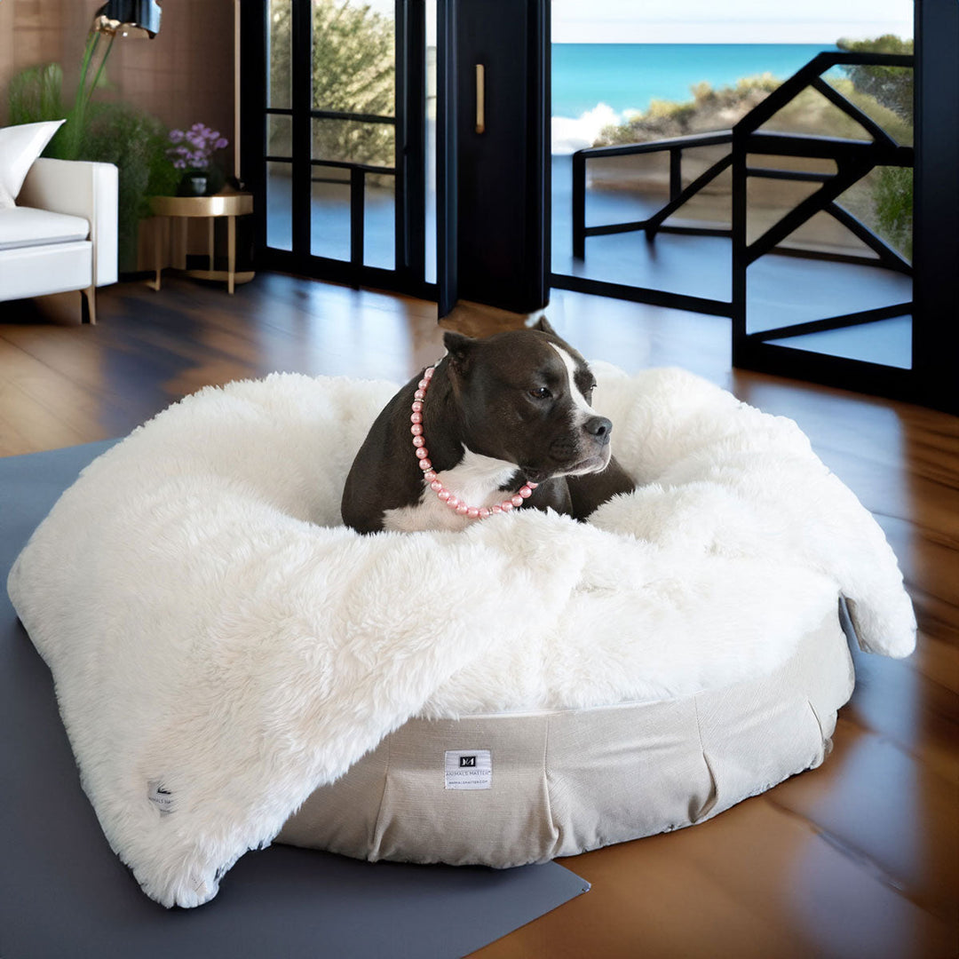 Ali enjoying her time at the beach on the NEW: Roxy Ortho Puff® Companion-Pedic® Luxury Dog Bed, with her waterproof matching blanket for extra protection 