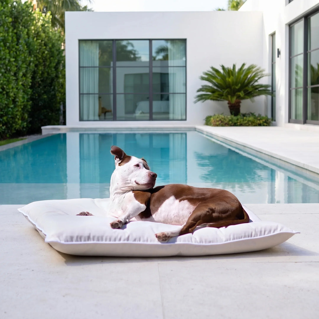 Close-up of performance materials used in luxury waterproof and outdoor dog beds.