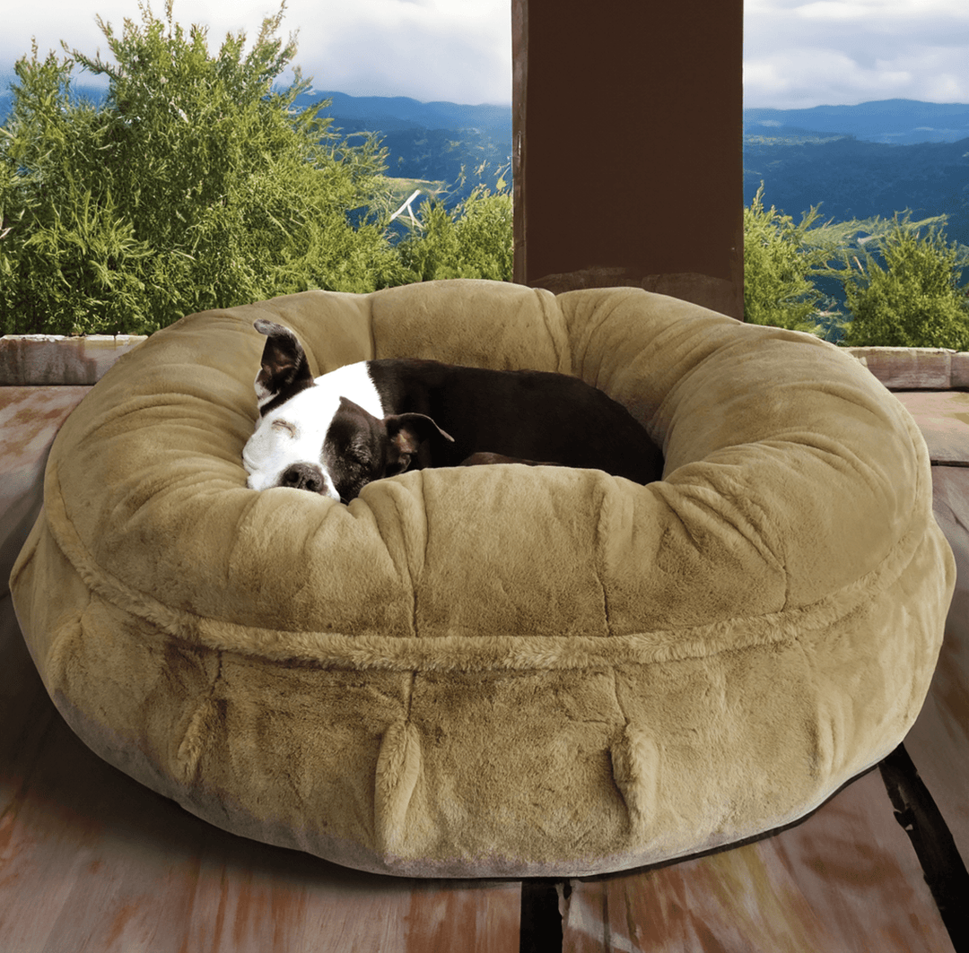 Cozy Comfort for Pets: The Best Puff Dog Bed - Animals Matter, Inc.