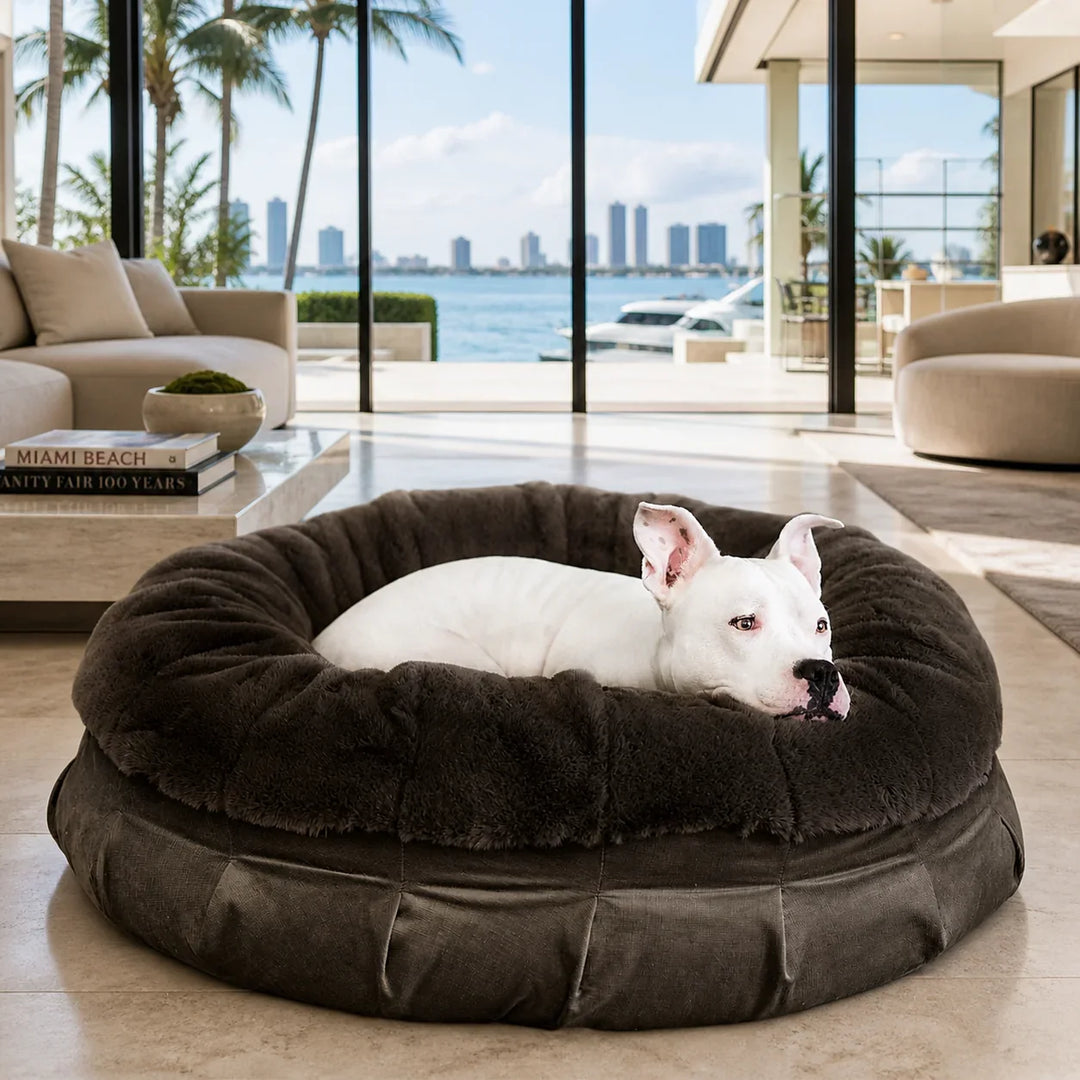 White dog resting in the Charcoal Ruby Ortho Puff® Companion-Pedic® Luxury Dog Bed, available through X-Large for large companions