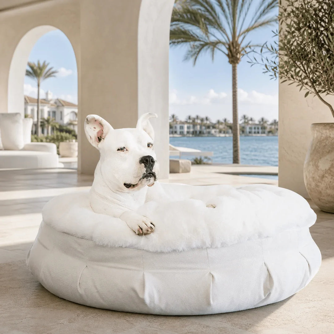 Ruby Ortho Puff® Companion-Pedic® Luxury Dog Bed in Ivory, a plush nest bed that helps a dog settle and rest