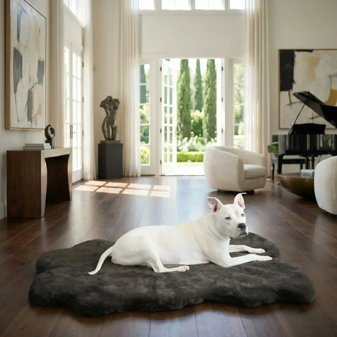 Luxury dog bed rug in a refined home interior with a companion resting comfortably.