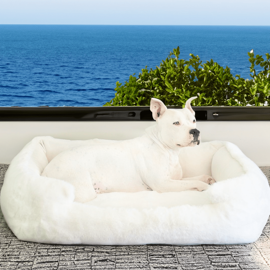 Ultimate Comfort: Find the Best Dog Bed Bolster for Your Companion's Rest - Animals Matter, Inc.