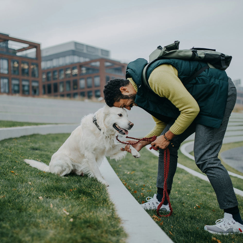 A picture of a man and his companion heads together, both happy. 